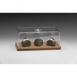 Zicco Ahşap Altlı Polycarbonat Kapaklı Fanus - Zcp 852