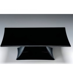 Zicco Polikarbon Siyah Teşhir Standı 35x35x10 cm.