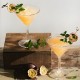 GastroPlast Polikarbon Buzlu Martini Bardağı 280 ml. - GC-31/F GastroPlast Polikarbon Buzlu Martini Bardağı 280 ml. - GC-31/F