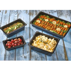 GastroPlast GN 1/3-100 Gastronorm Siyah Küvet